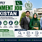 How to Apply Government Job in Pakistan